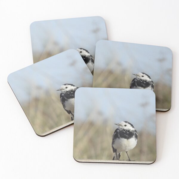 Item preview, Close-up view of male Pied Wagtail designed and sold by TwistedClassics.