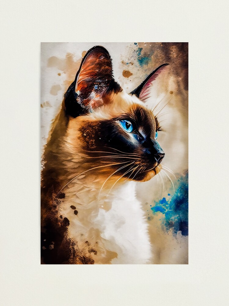 Cat PFP | Photographic Print