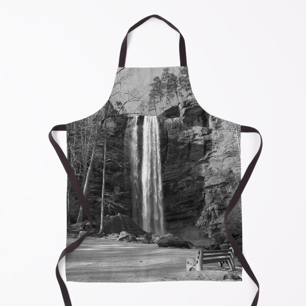 Item preview, Toccoa Falls in Black and White designed and sold by Craig Kauzmann.