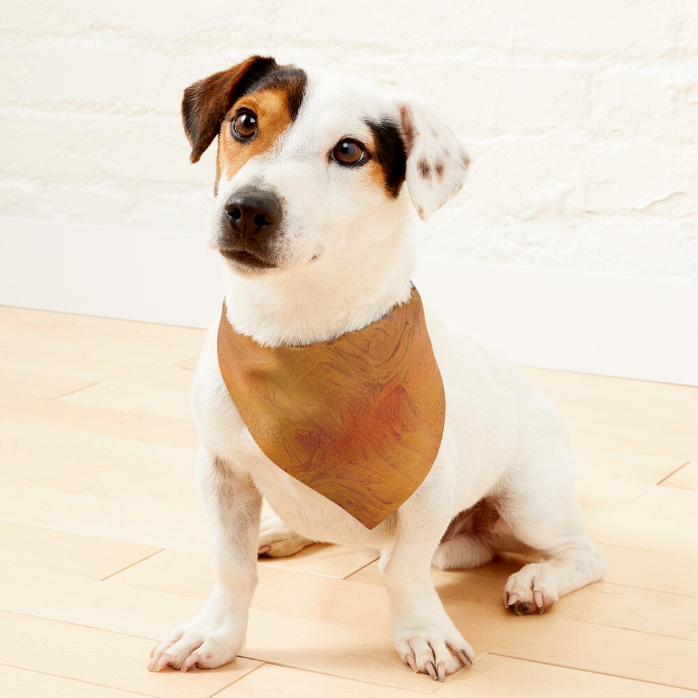 Item preview, Pet Bandana designed and sold by futureimaging.