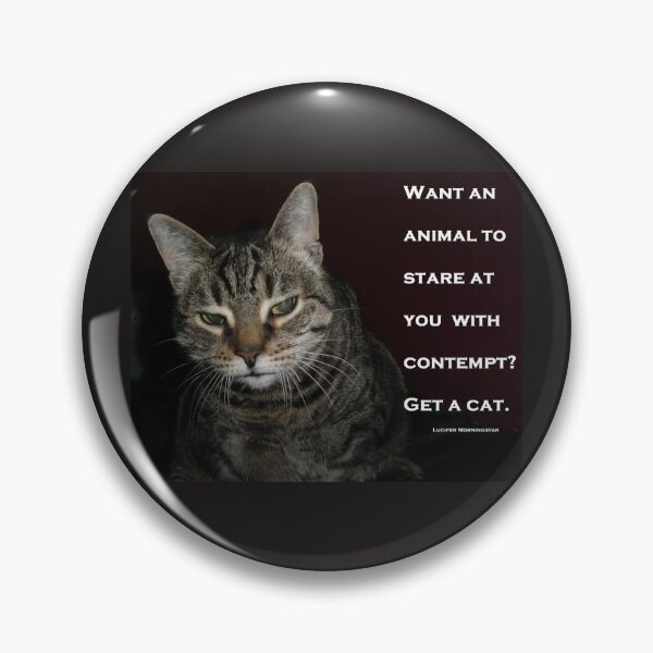 Item preview, Lucifer (Netflix) quote: The truth about cats... designed and sold by C-O-Dragons.