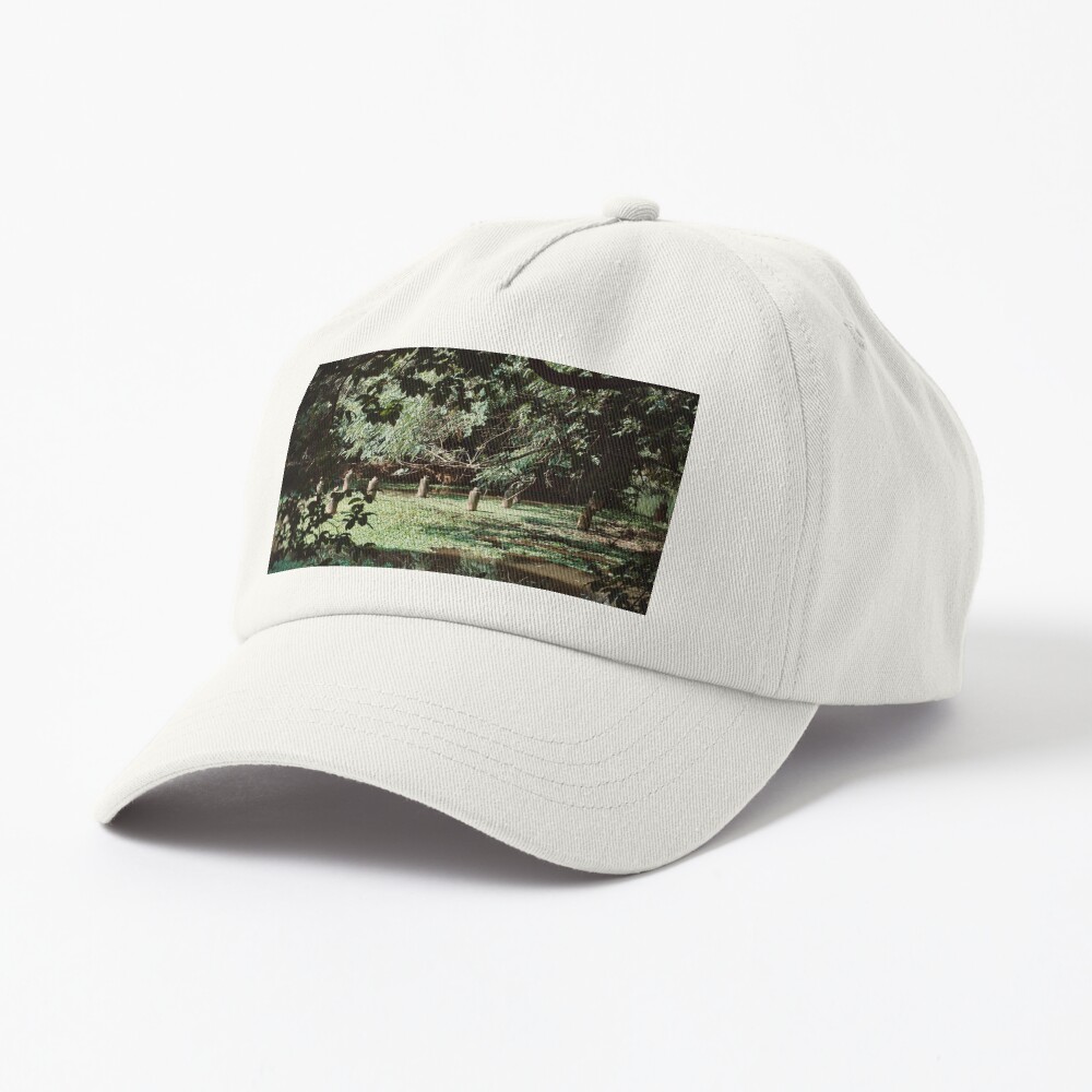 Item preview, Dad Hat designed and sold by teruyalab.