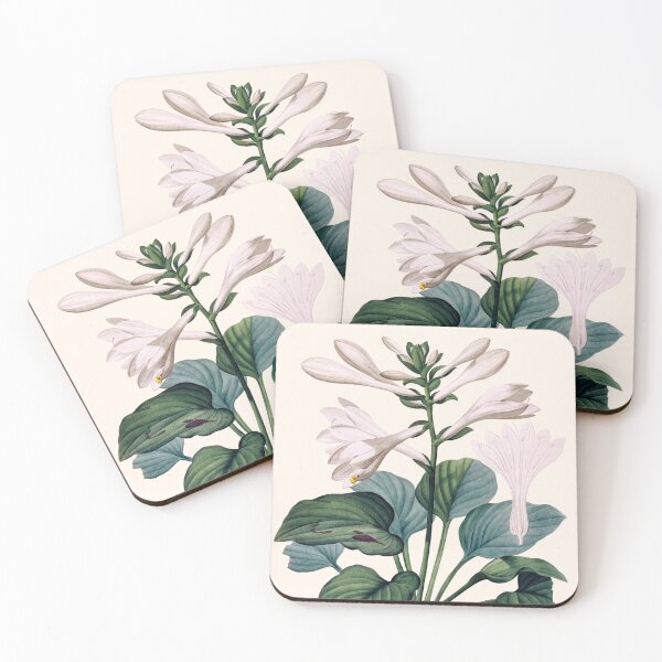 Item preview, Hemerocallis Japonica | Hemerocallis du Japon | Pierre-Joseph Redouté designed and sold by LaMadeleine.