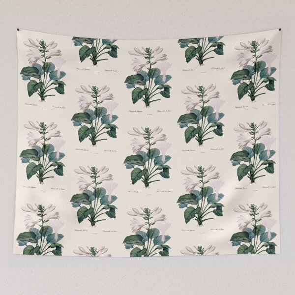 Item preview, Hemerocallis Japonica | Hemerocallis du Japon | Pierre-Joseph Redouté designed and sold by LaMadeleine.