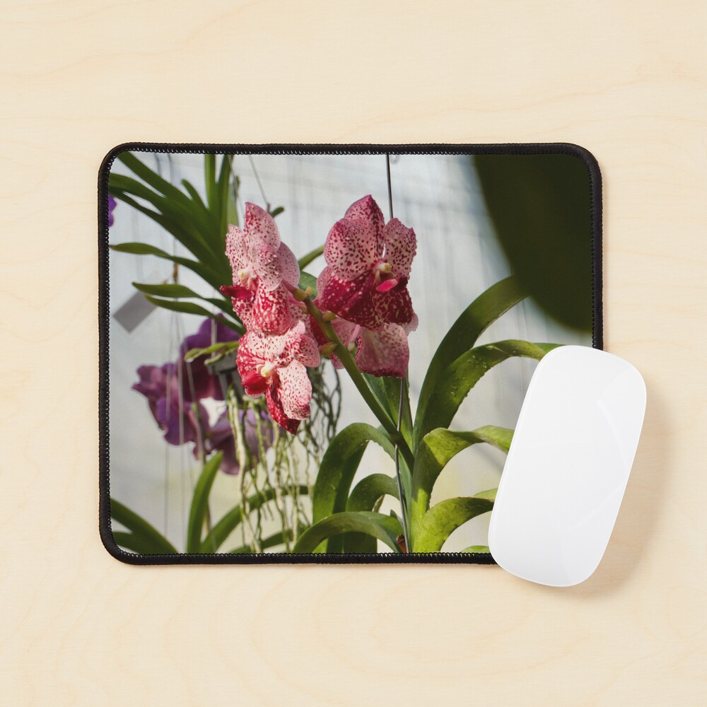Item preview, Mouse Pad designed and sold by teruyalab.
