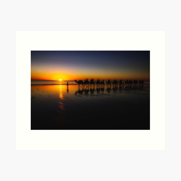 Cable Beach Camels Art Print