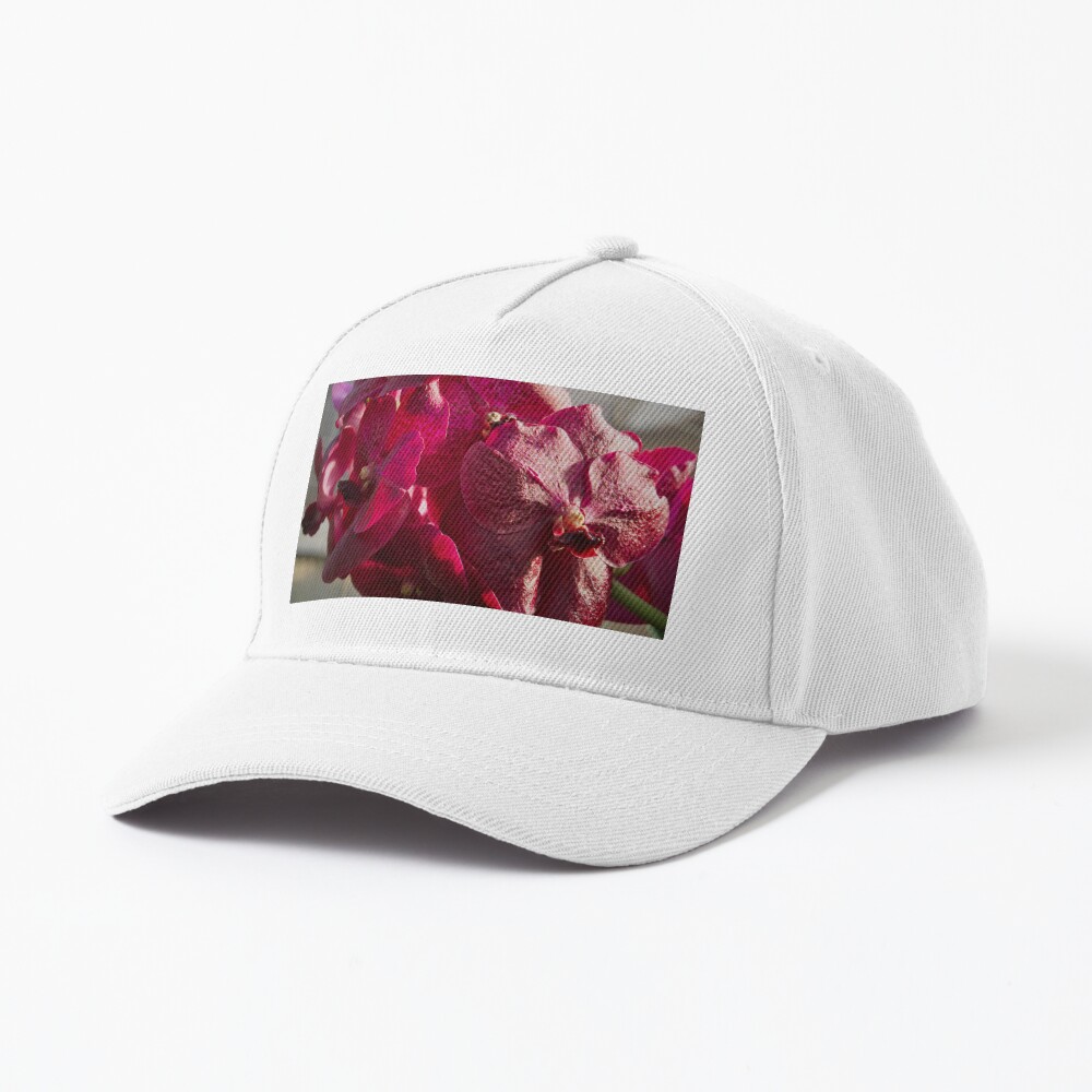 Item preview, Baseball Cap designed and sold by teruyalab.