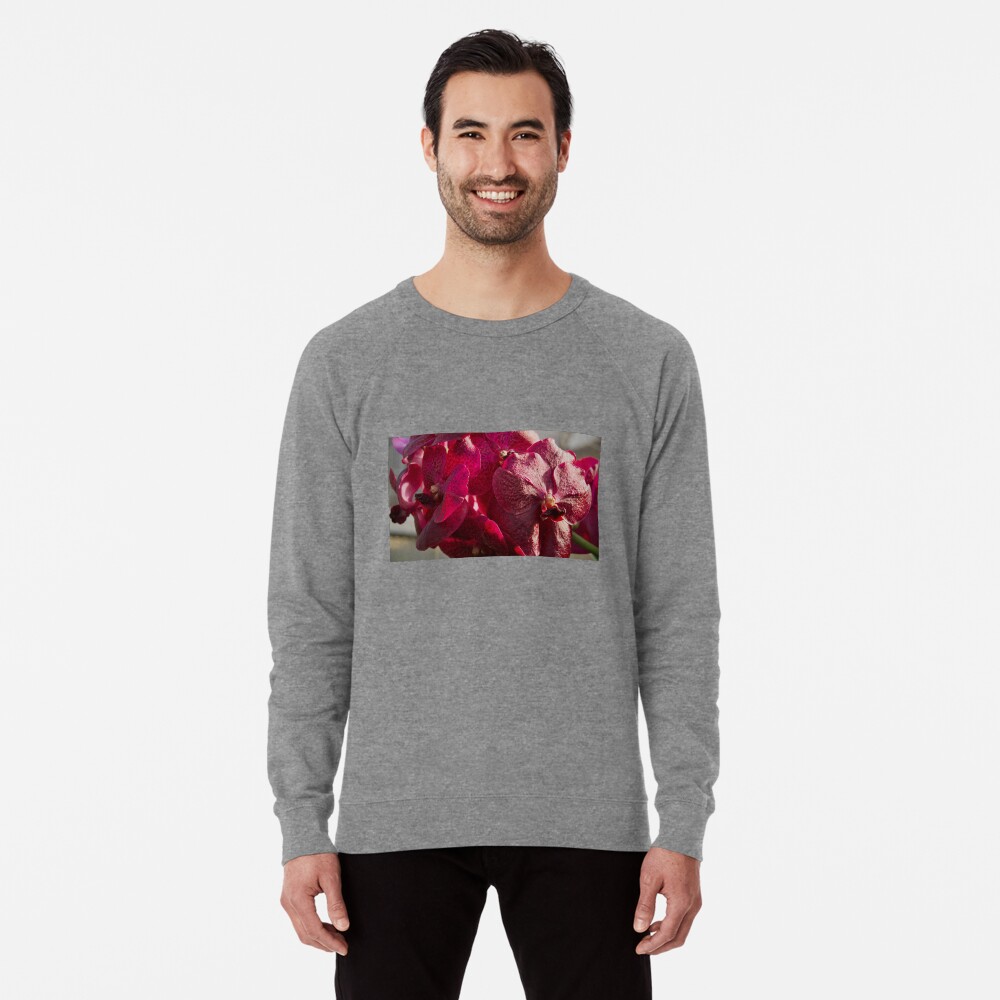 Item preview, Lightweight Sweatshirt designed and sold by teruyalab.