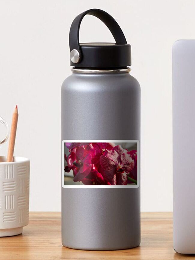 Thumbnail 1 of 3, Sticker, PINK VANDA ORCHID PLANT GREENHOUSE designed and sold by teruyalab.