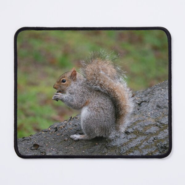 Item preview, Lunch in the Park. designed and sold by GingerMan2550.