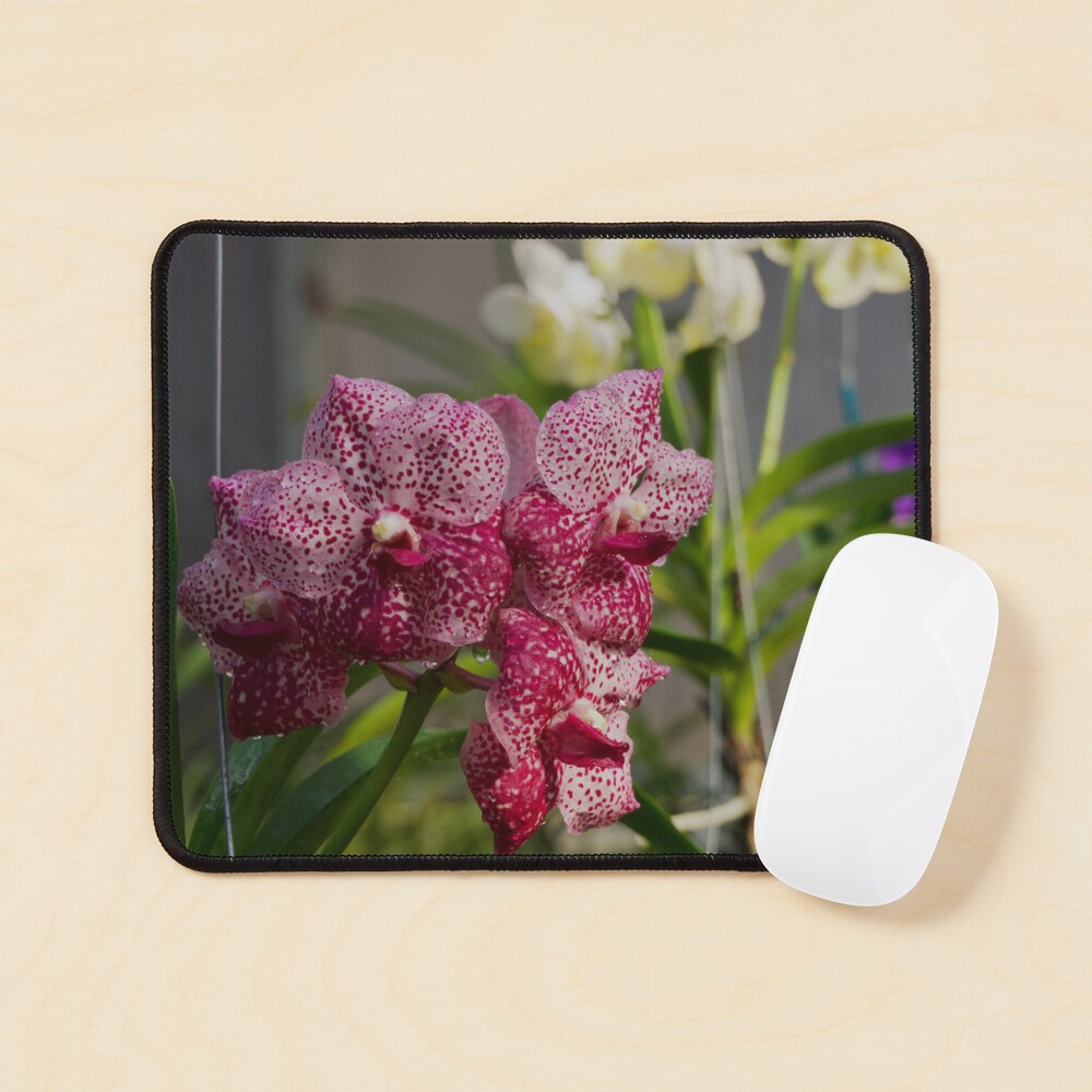 Item preview, Mouse Pad designed and sold by teruyalab.