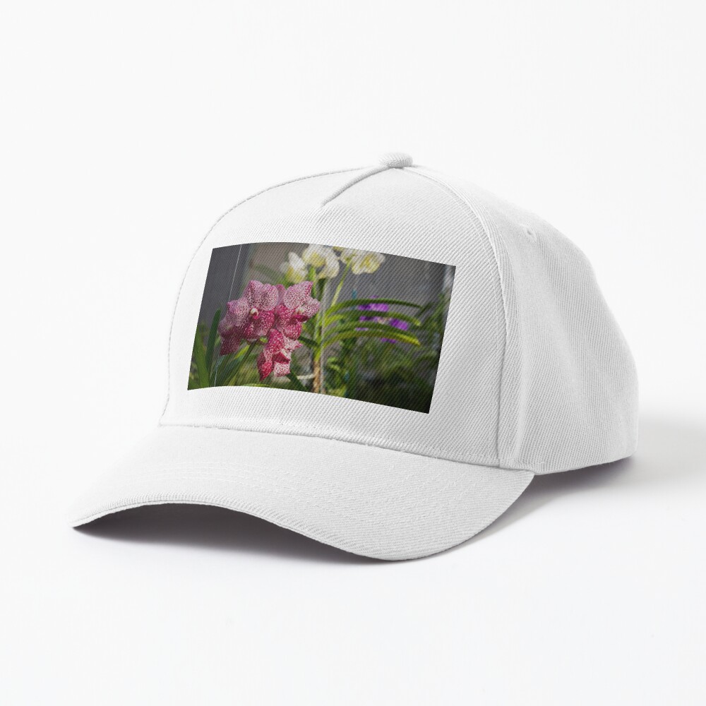 Item preview, Baseball Cap designed and sold by teruyalab.