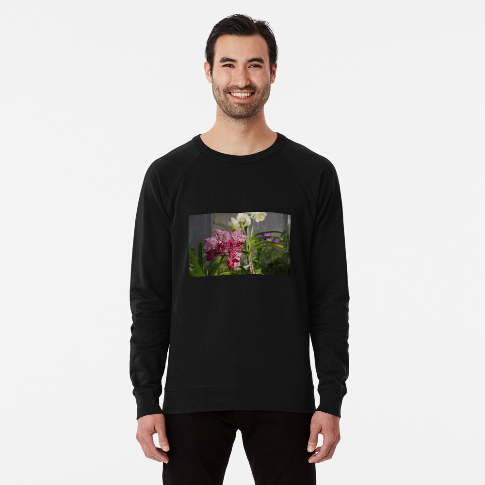 Item preview, Lightweight Sweatshirt designed and sold by teruyalab.