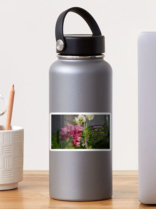 Thumbnail 1 of 3, Sticker, PINK VANDA ORCHID FLOWER PLANT GREENHOUSE designed and sold by teruyalab.