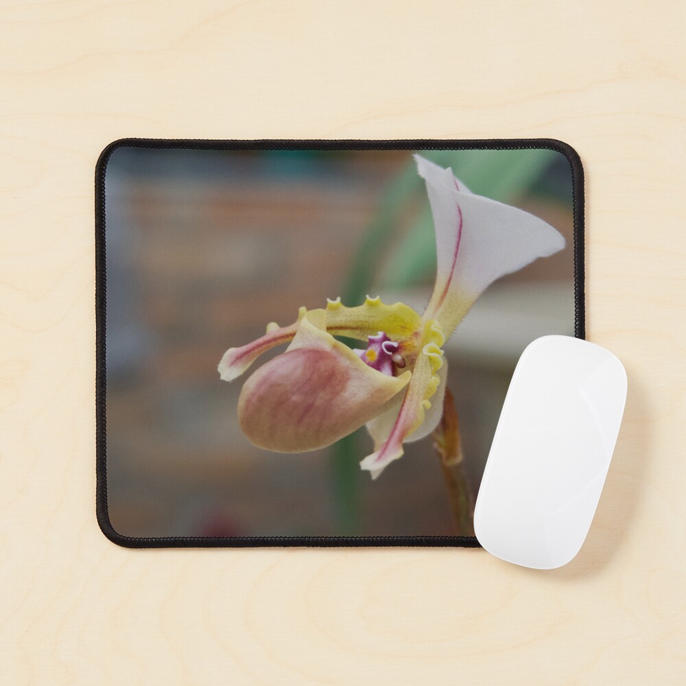 Item preview, Mouse Pad designed and sold by teruyalab.