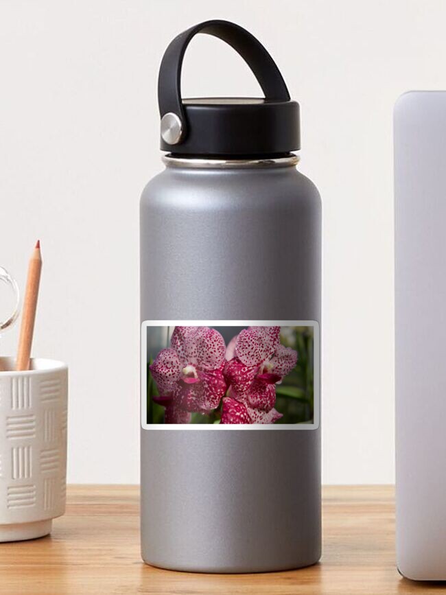 Thumbnail 1 of 3, Sticker, PINK VANDA ORCHID PLANT GREENHOUSE designed and sold by teruyalab.