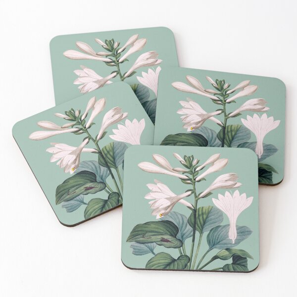 Item preview, Hemerocallis Japonica | Hemerocallis du Japon | Pierre-Joseph Redouté designed and sold by LaMadeleine.