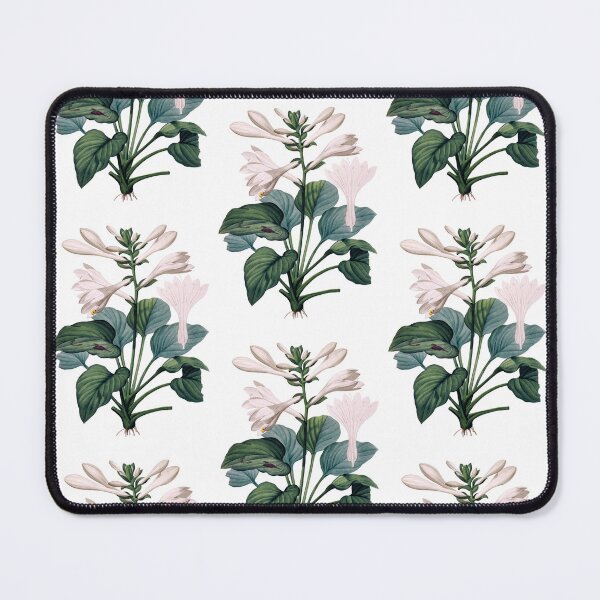 Item preview, Hemerocallis Japonica | Hemerocallis du Japon | Pierre-Joseph Redouté designed and sold by LaMadeleine.