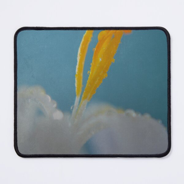 Item preview, Made Our Joys designed and sold by Denise Abé.