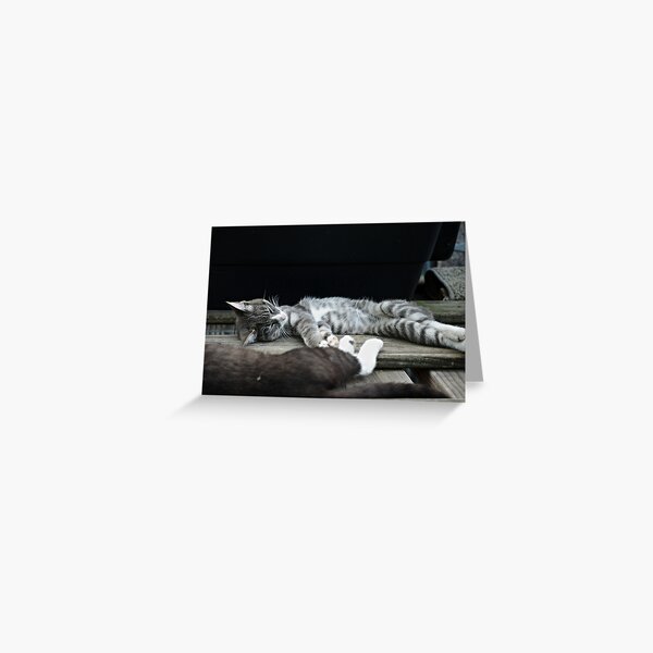 Too Hot Greeting Card
