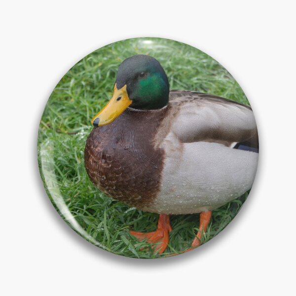 Item preview, Mallard in Bloom. designed and sold by GingerMan2550.