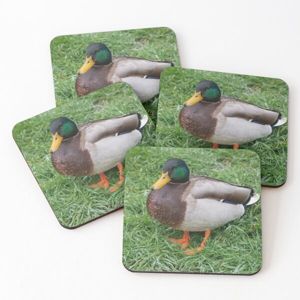 Item preview, Mallard in Bloom. designed and sold by GingerMan2550.