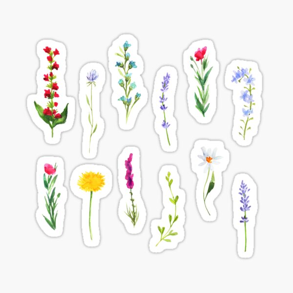 Item preview, Spring Wildflowers Sticker Pack  designed and sold by ruthmoffatt.