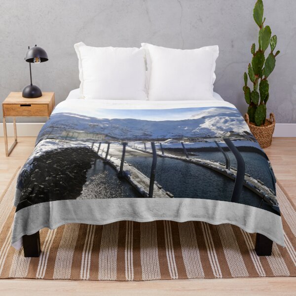 Item preview, Beautiful winter Whittier designed and sold by zumi.