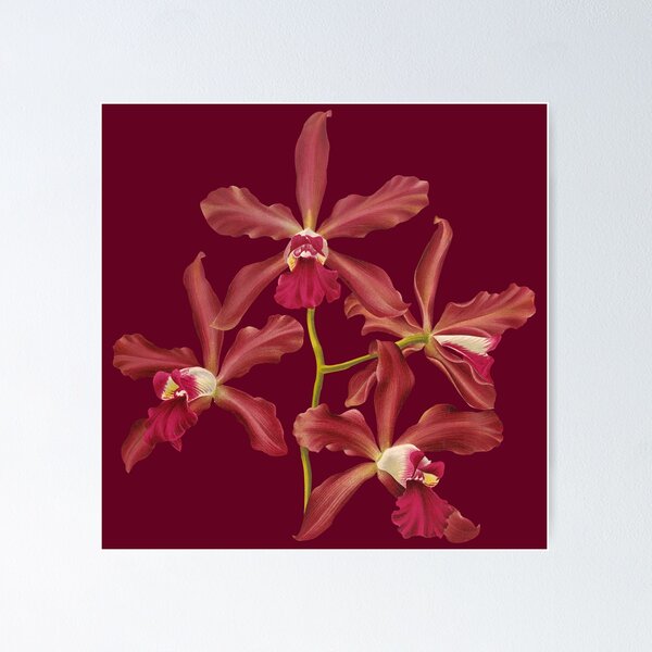 Item preview, Vintage Orchid Illustration designed and sold by InnerCitadel.