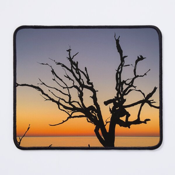 Item preview, Colorful Driftwood Beach designed and sold by Craig Kauzmann.