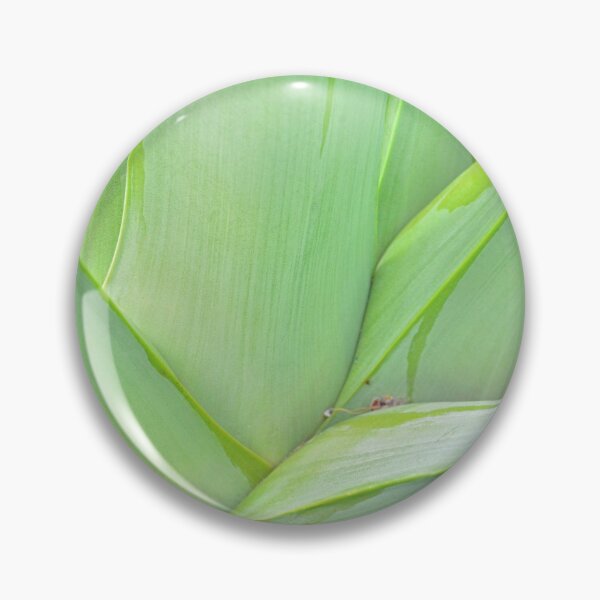 Item preview, Agave Abstract designed and sold by LisaWootenPhoto.
