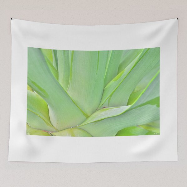 Item preview, Agave Abstract designed and sold by LisaWootenPhoto.