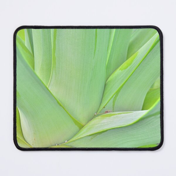 Item preview, Agave Abstract designed and sold by LisaWootenPhoto.
