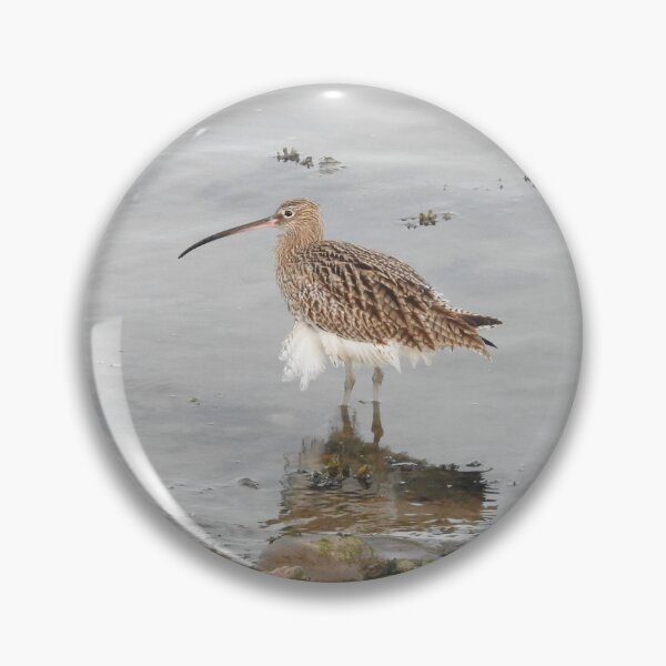 Item preview, Curlew with frilly white feathers designed and sold by TwistedClassics.