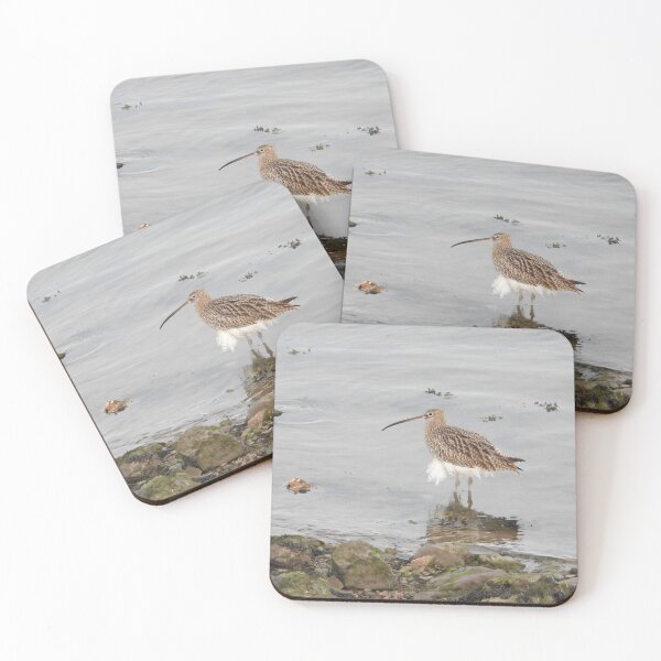 Item preview, Curlew with frilly white feathers designed and sold by TwistedClassics.