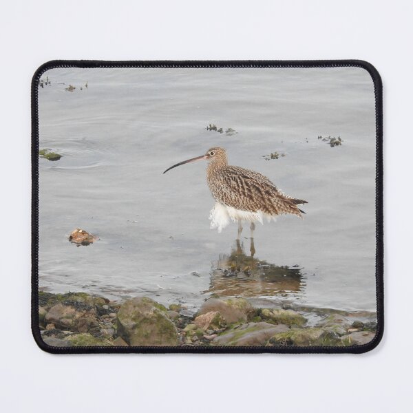 Item preview, Curlew with frilly white feathers designed and sold by TwistedClassics.