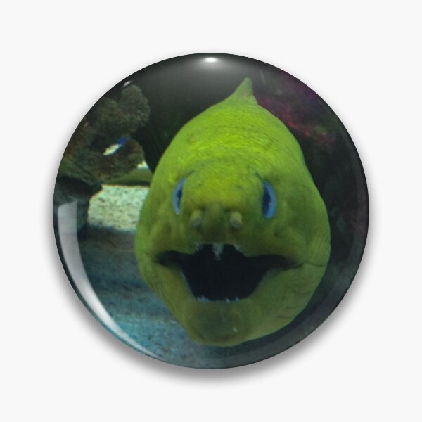 Item preview, Crazy Fish designed and sold by Craig Kauzmann.