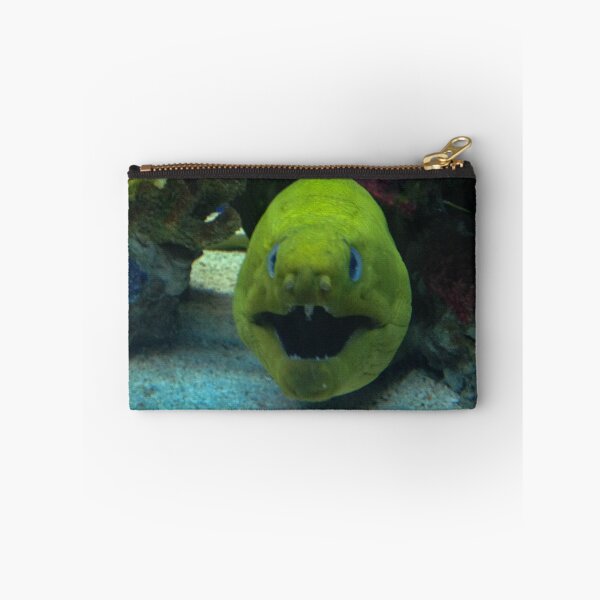 Item preview, Crazy Fish designed and sold by Craig Kauzmann.