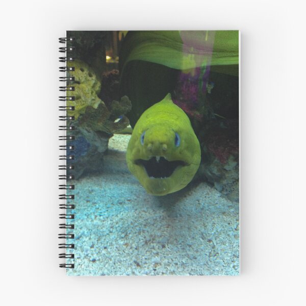 Item preview, Crazy Fish designed and sold by Craig Kauzmann.