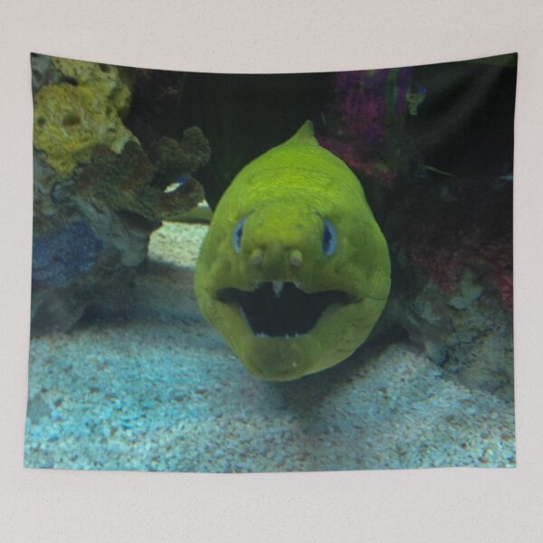 Item preview, Crazy Fish designed and sold by Craig Kauzmann.