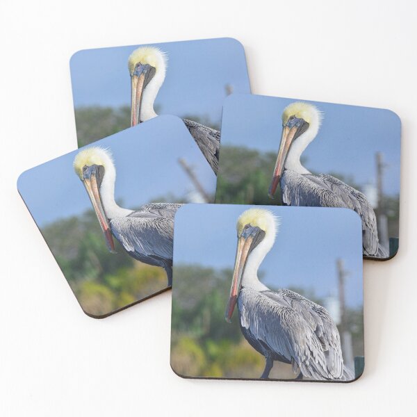 Item preview, Beautiful Brown Pelican designed and sold by LisaWootenPhoto.