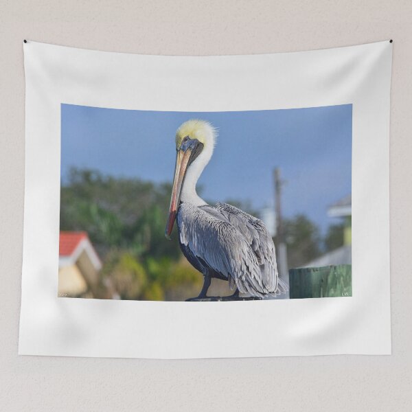 Item preview, Beautiful Brown Pelican designed and sold by LisaWootenPhoto.