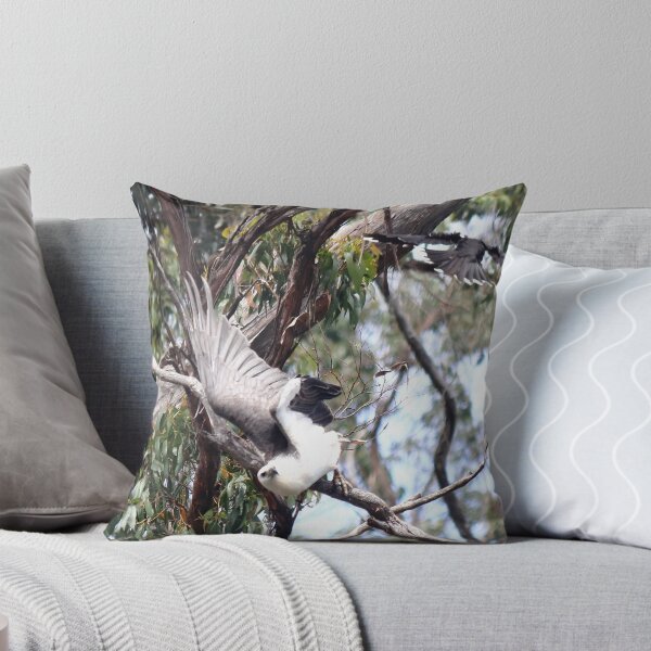 Item preview, white bellied sea eagle dodging a currawong - Arthur River designed and sold by Gaylene Norton.