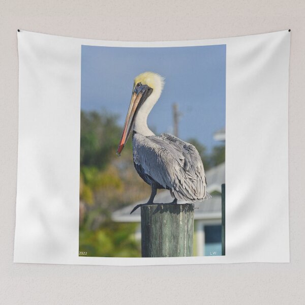 Item preview, Beautiful Brown Pelican Vertical designed and sold by LisaWootenPhoto.