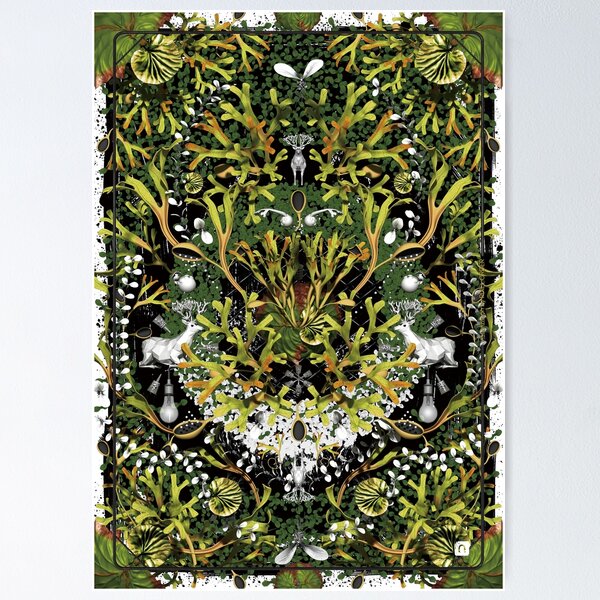 Platycerium_Ridleyi_Mandala Poster Poster