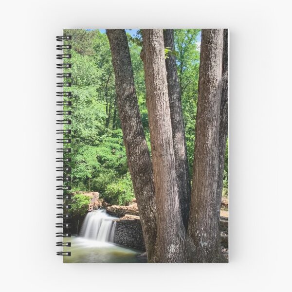 Item preview, Freeman's Mill Park designed and sold by Craig Kauzmann.