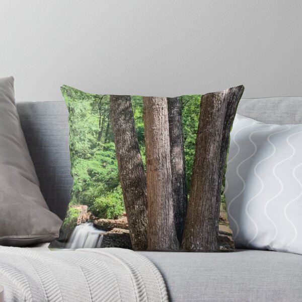 Item preview, Freeman's Mill Park designed and sold by Craig Kauzmann.
