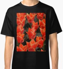 keukenhof gardens, the netherlands Classic T-Shirt
