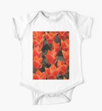 keukenhof gardens, the netherlands One Piece - Short Sleeve