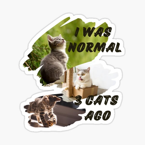 by Meowgicians 'I Was Normal 3 Cats Ago' Women's T-Shirt | for Cat Moms with Humor! Beige / S